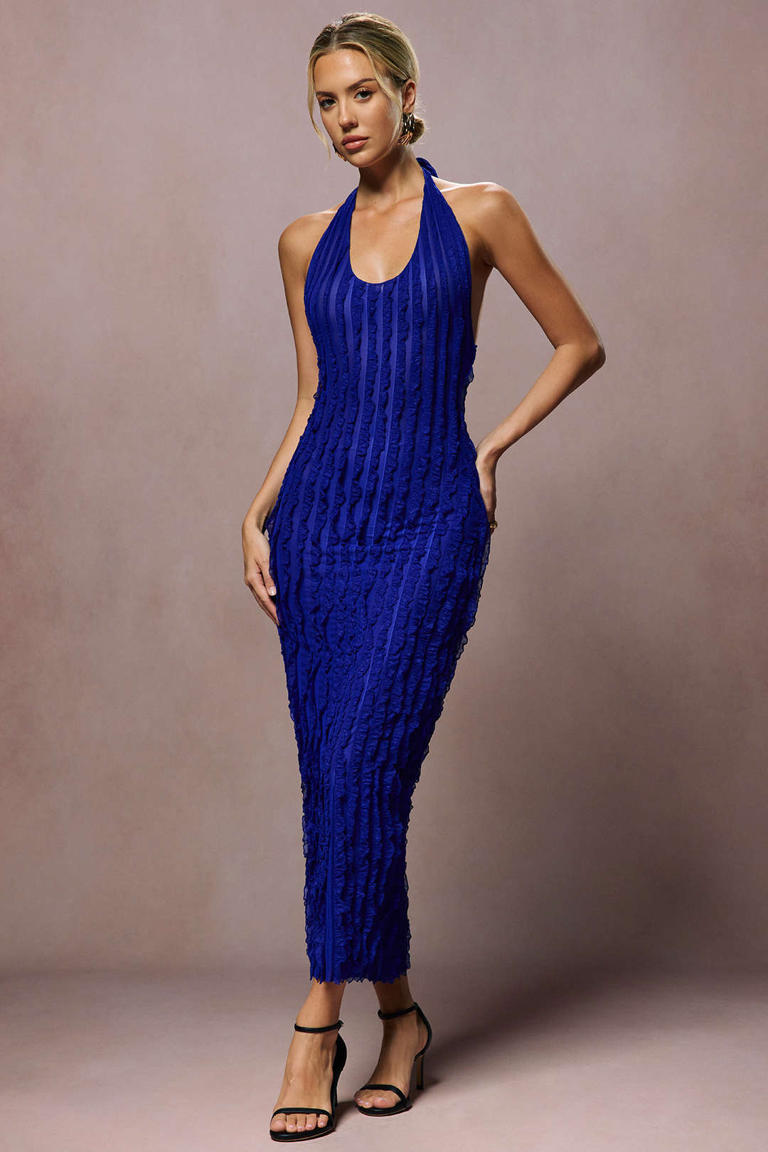 Sheer Mesh Ruffle Texture Halter Backless Maxi Dress